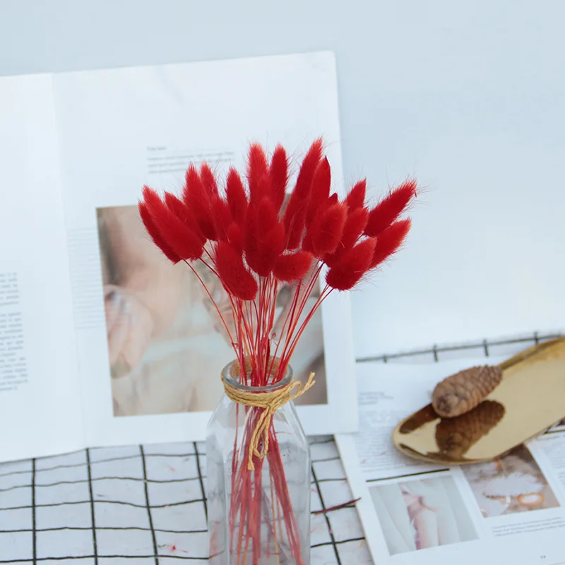 11148322348_1442471722