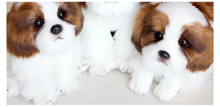 quality simulation dog plush toy mini cute soft realistic poodle doll dog toys for baby friend gift deco DY50740 (5)