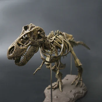 

Large Dinosaur Fossil Skull Animal Model Toys Tyrannosaurus Rex Assemble The Skeleton Model Furnishing Articles Decoration