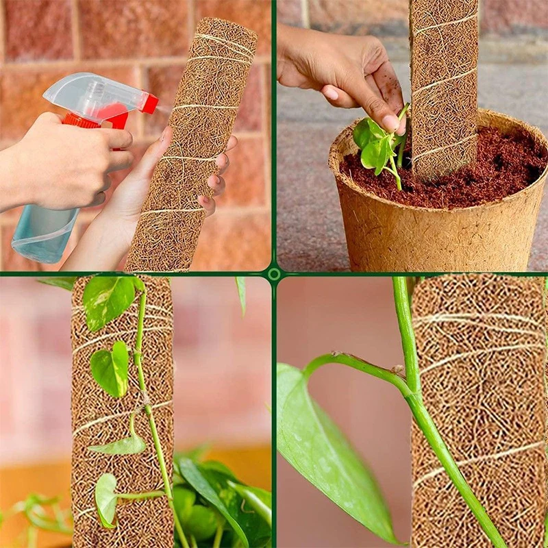 Plant Cages Supports