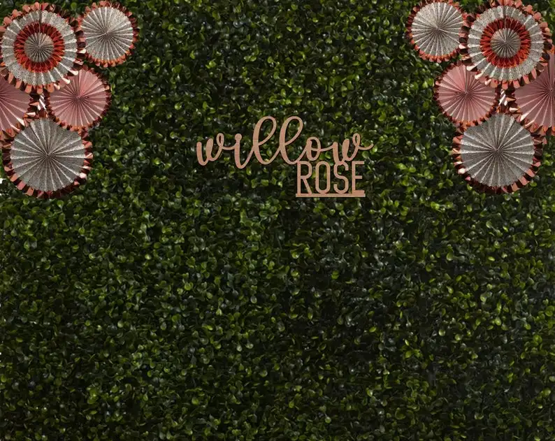 Personalized Name Sign Nursery Backdrop Baby Shower Gift Decor--Custom Wood for Girl | Дом и сад