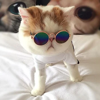 

Cute Glasses Small Pet Dogs Cat Glasses Sunglasses Eye-wear Protection Pet Glasses Pet Photos Props Random Colors