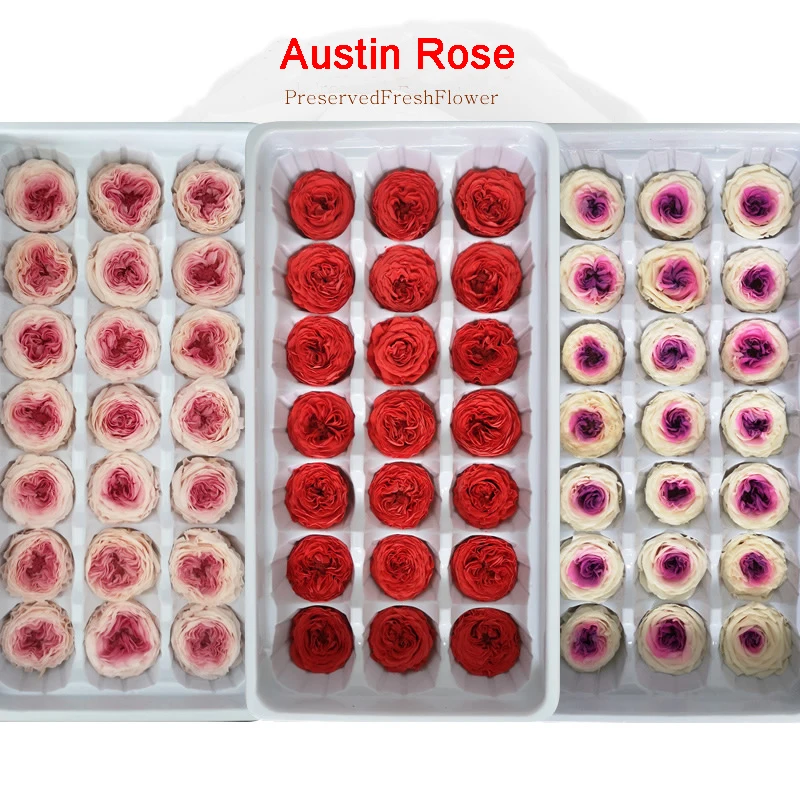 Роза Остина вечные цветы бессмертная роза 2-3 см День матери подарок DIY Свадьба вечная жизнь цветок Материал Подарочная коробка уровень A