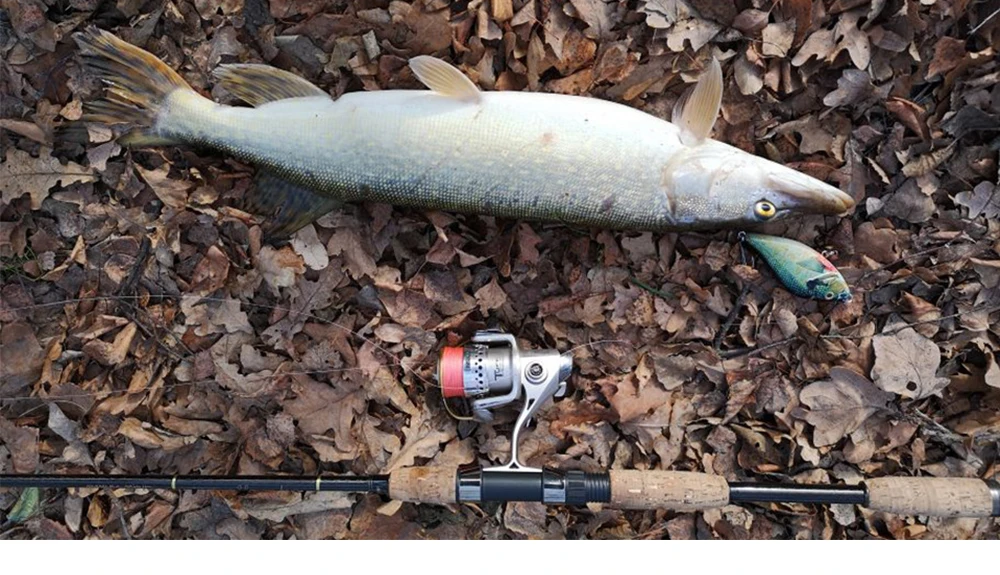 Hanlin Neu 70mm/14.5g Jerkbait Angelköder Rassel-Gleitköder Künstlicher sinkender Wobbler für Hecht und Barsch – Detail 12