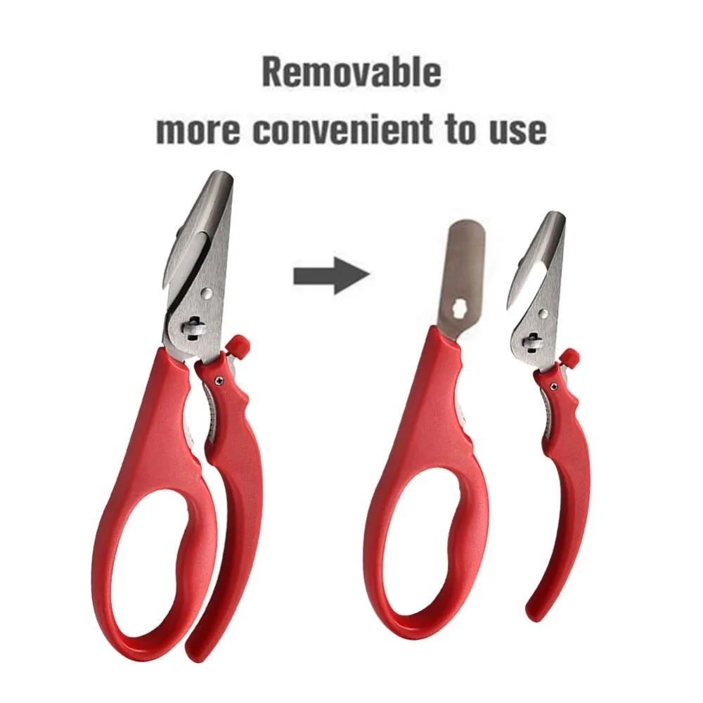 eaee203094d39626c1bacb080387f2c9