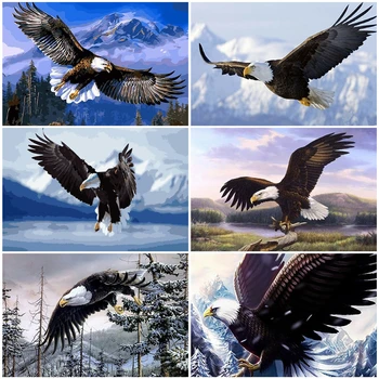 

AZQSD DIY Unframe Oil Painting By Numbers Canvas Animal Home Decoration Acrylic Paint Coloring By Numbers Eagle Handmade Gift