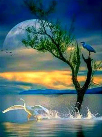 

Diamond Painting Full Landscape Moon DIY Diamond Embroidery Scenery Seaside Cross Stitch Wall Art Picture