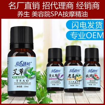 

Essential Oil Rose Wormwood Fragrance Massage Essential Oil Lavender Ginger Essential Oil Plant Foot Massage