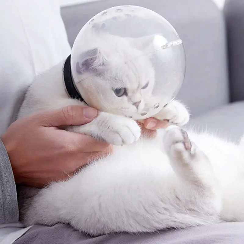 Воздухопроницаемая маска для кошек защита от укусов лизания уличная путешествий