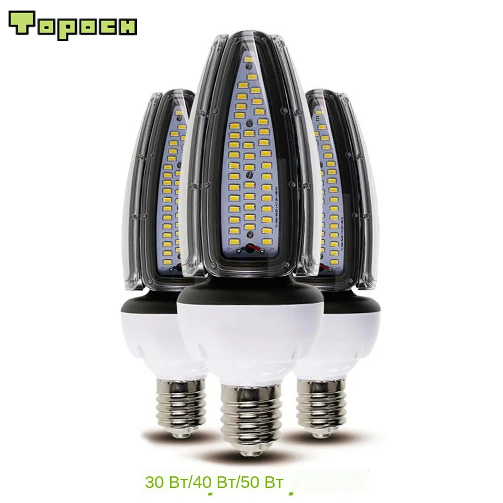OLIVE 50W (3)__