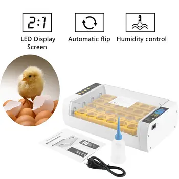 

Fast Shipping Practical 24 Eggs Large Capacity Mini Incubator For Chicken Poultry Quail Eggs Home Use Automatic Egg Turning