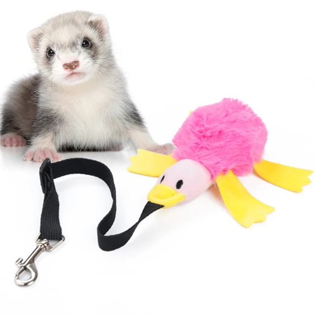 Ferret Chew Toys
