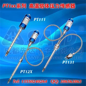 PT111-PT123-PT124-PT131