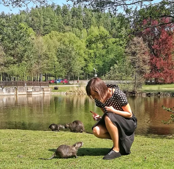 UTB8cvCis3nJXKJkSaelq6xUzXXaC