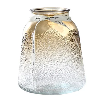 

Simple Transparent Multi Color Glass Vases Decoration Living Room Flower Thickened Vases Home Decor