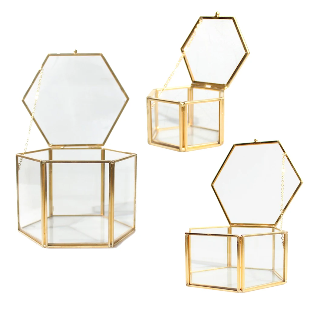 Modern Hexagon Clear Glass Brass Geometric Terrarium Fern Moss Air Plant Display Case Art Home Garden Decor