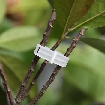 

50pcs Plant Clip Supports Connects Protection Grafting Fixing Tool Gardening Supplies for Vegetable Tomato