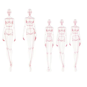 

Fashion Ruler Fashion Line Drawing Human Dynamic Template for Cloth Rendering