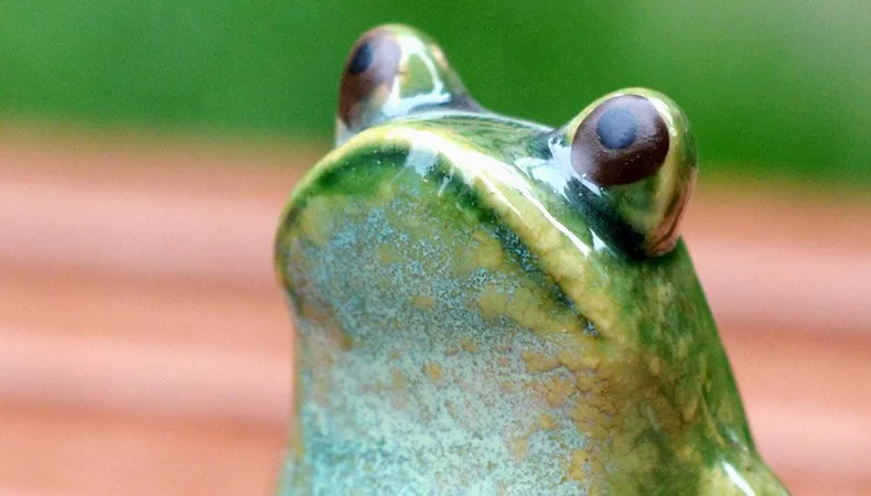 T20cBfXEpaXXXXXXXX_!!681565709