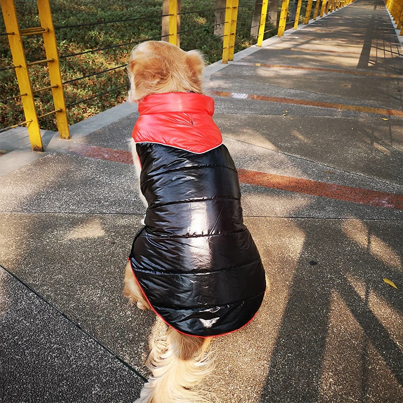 Большая собака зимняя одежда для больших собак, Костюмы Куртка из искусственной кожи PU куртка самоед Хаски лабрадор, золотистый ретривер одежда домашний костюм жилет