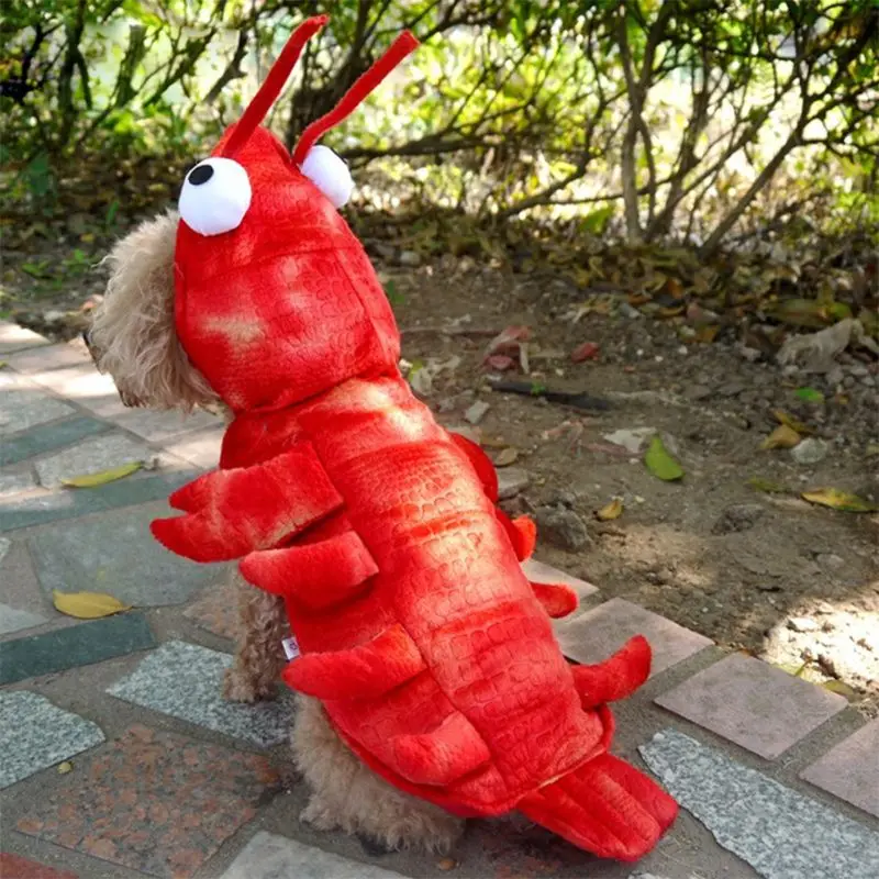 Костюм для собак, одежда для кошек на Хэллоуин, милый костюм премиум-класса, Новинка