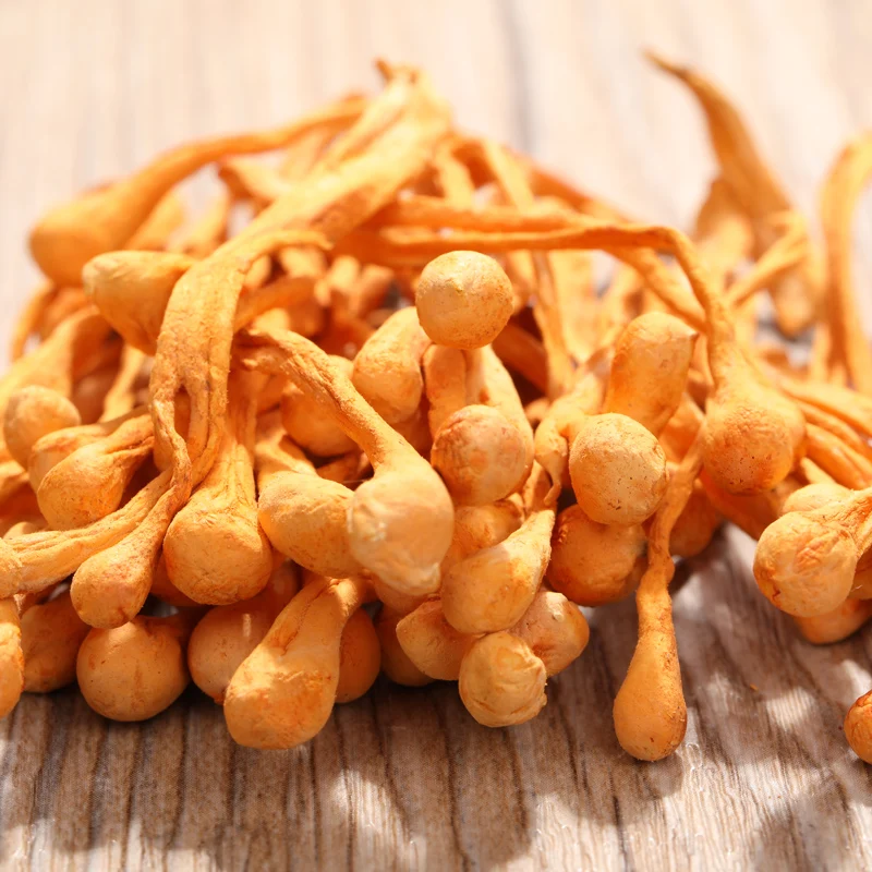 

Chinese Wild Herbal Cordyceps Flower Sinensis Flower High Quality Pure Cao Hua For Improve Immunity