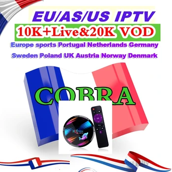 

UK IPTV TV BOX Android 9.0 H96 max 4K for TV box M3U Italy ASIA Europe Italian Netherland Canada USA no app included