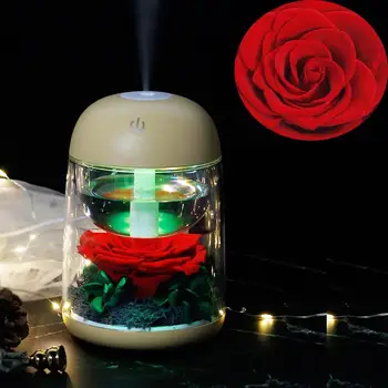 

Humidifier The Beauty and Beast Rose Valentines Day Gift Eternal Rose With Colorful Night Light in Air Purifier Birthday Gift
