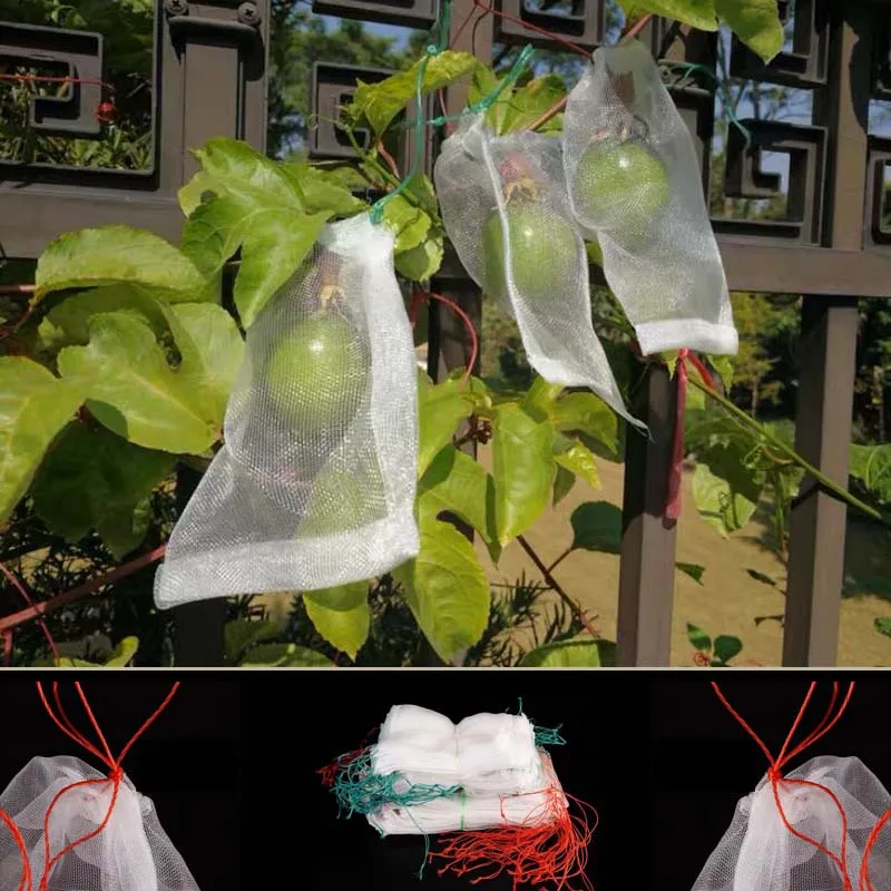 

50PCS Vegetable Grapes Apples Fruit insect Protection Bag Garden Netting Bags Pouch Agricultural Pest Control Anti-Bird Mesh B