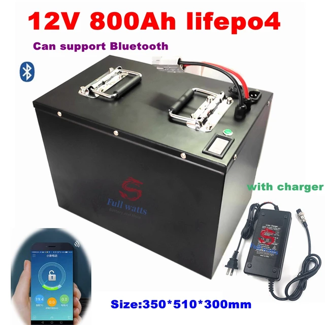 12V Lithium LiFePO4 Battery 3000+ Deep Cycles Smart BMS Perfect for Boat  Security Devices Camping Etc - AliExpress