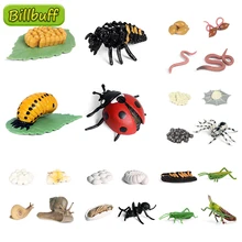 Tartaruga do mar crescimento ciclo caracóis joaninha minhocas ciclo de vida modelos simulação modelo animal figuras de ação material de ensino brinquedos