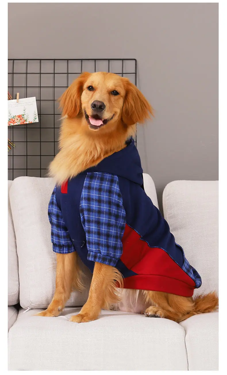 O1CN01AN2Lok24Nd7CN2Fkx___704407379