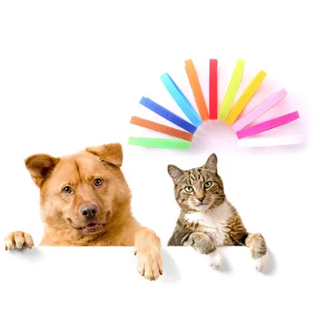 15pcs Newborn Pet Identification Collars Puppy Cat Id Collar Dog Leash Necklace Id Identification Strap 5