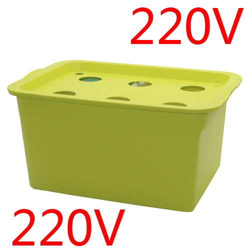 Plants Site Hydroponic Systems 6 Holes Nursery Pots Soilless Vegetables Cultivation Seedling Growing Box With Air Pump