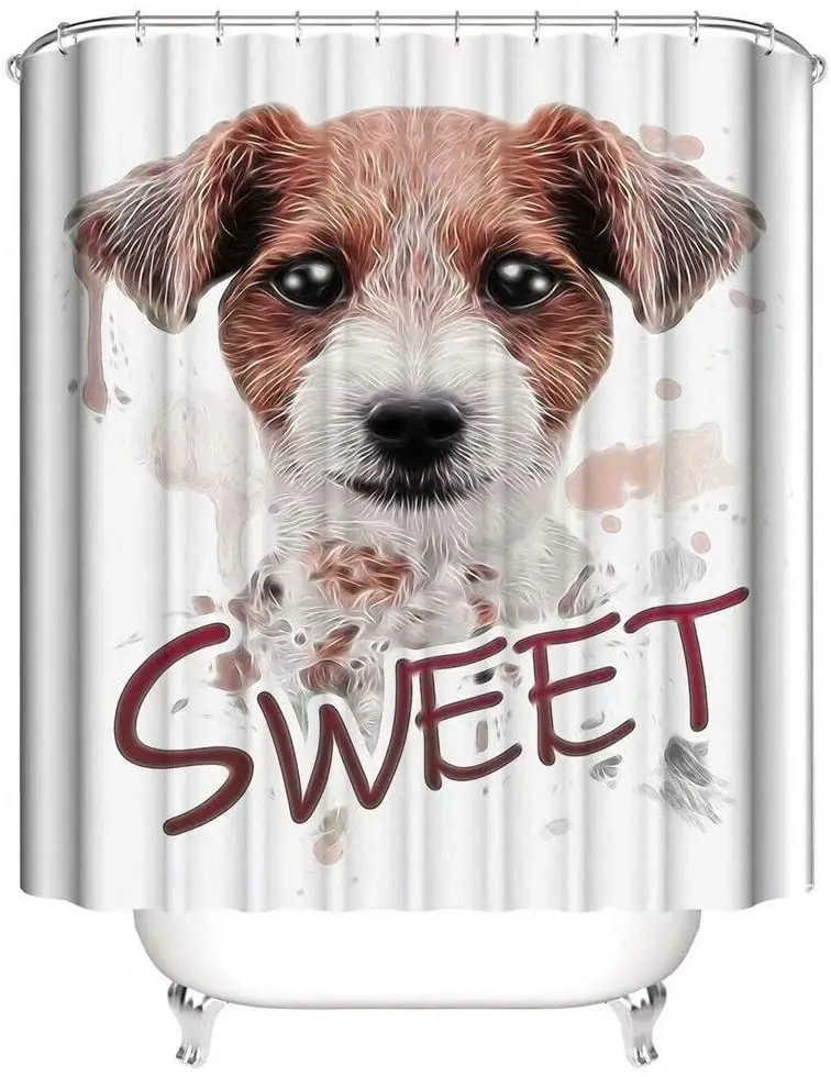 61Xp%2B5SbkmL._AC_SL1002_