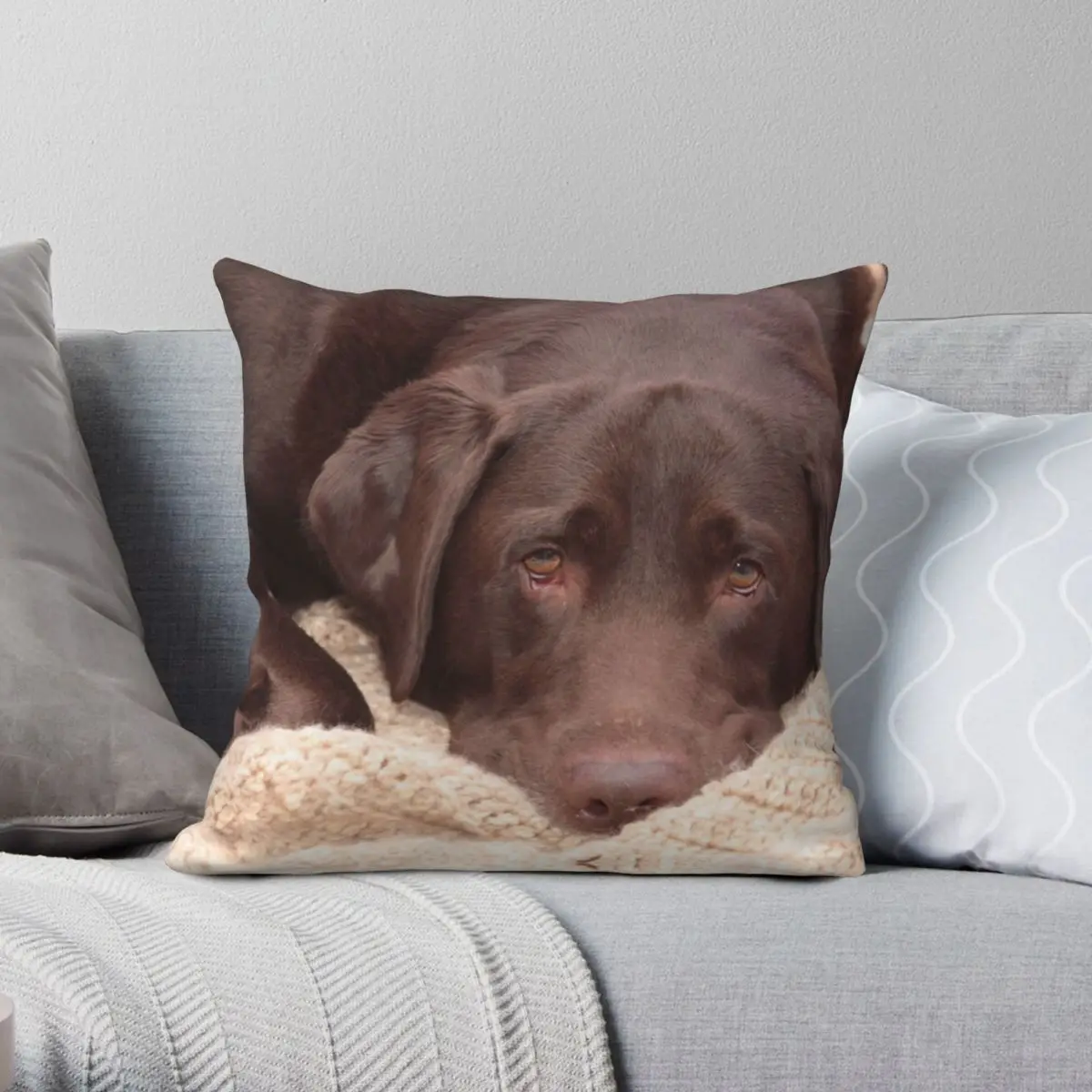 

Квадратный чехол для подушки Chocolate Lab, полиэстеровый льняной бархатный чехол с узором на молнии, декоративный чехол для домашней подушки, чехол для подушки 18 дюймов