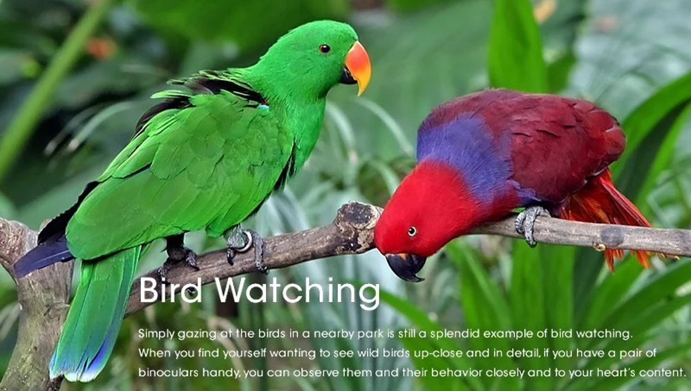 rBVaSlsPX6CAHe_UAAHiM7WAAqU974