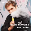 Electronic Cigarettes