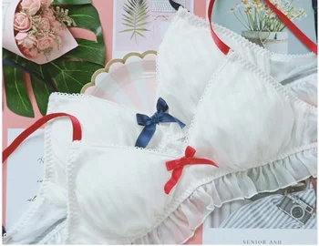 

Japanese Kawaii Schoolgirls Bra and Panty Set Cute Lounge Underwear Women Intimates Sexy Transparent Bra and Panty Set Lingerie