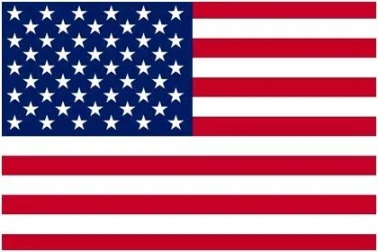 10 упаковок, Национальный ручной Флаг США, Великобритании, ЕС, России, Франции, Испании, Нидерландов, Израиля, 14x21 см, ручные флаги с пластиковыми флажками - Цвет: United States