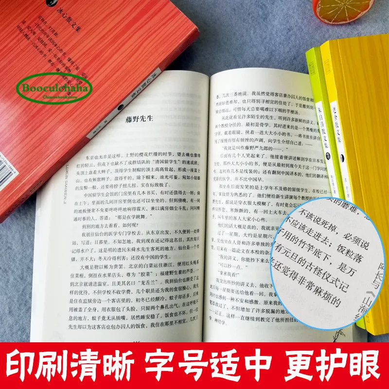 Китайские классические очерки Lu Xun Zhu Ziqing Lao She Bing Xin 4 книги|Современная литература|