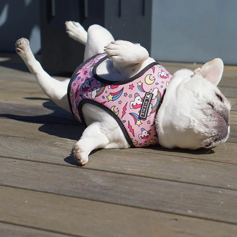 Harnais animal,Harnais pour chien bouledogue français,carlin,petit et moyen gabarit,laisse