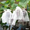 50pcs Garden Vegetable Fruit Grow Bag Plants Protection Bag Anti Bird Drawstring Netting Candy Makeup Mesh Pouch Pest Control ► Photo 2/6