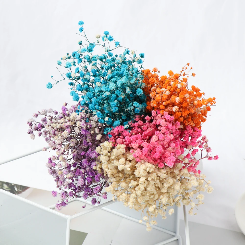 Dried Baby's Breath Flower Assorted Colors