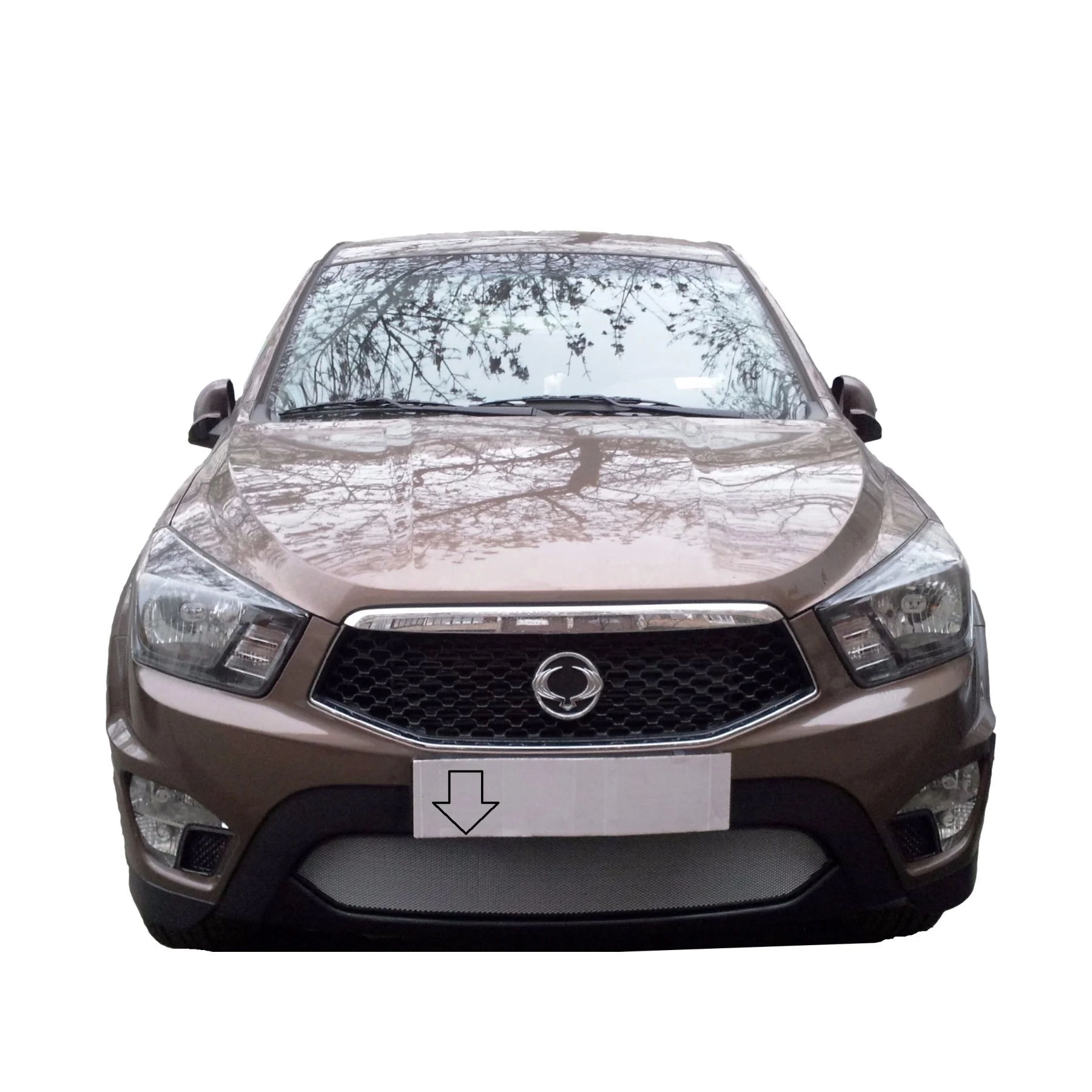 Защитная сетка на решетку радиатора Ssang Yong Actyon Sport 2012, 2013,,,, защита от насекомых, сетка в бампер