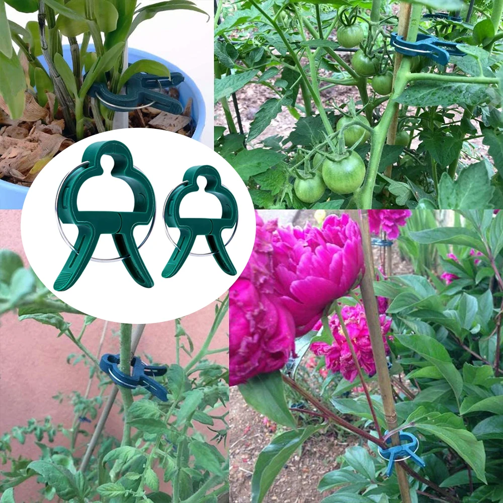 30/50/100pcs Reusable Plant Clips 4.5*3cm/6x4.5cm Plant Stems Stalks Vines Climb Fixed Clamp for Gardening Seedling Bracket Tool