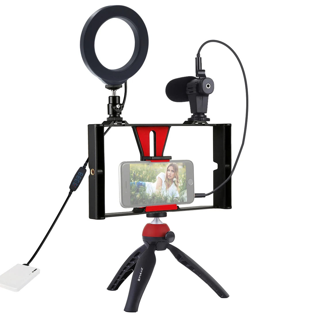 PULUZ 4 в 1 Vlogging прямая трансляция смартфон видео установка+ 4,6 дюймовый кольцевой светодиодный светильник и микрофон+ штатив+ Штативная головка