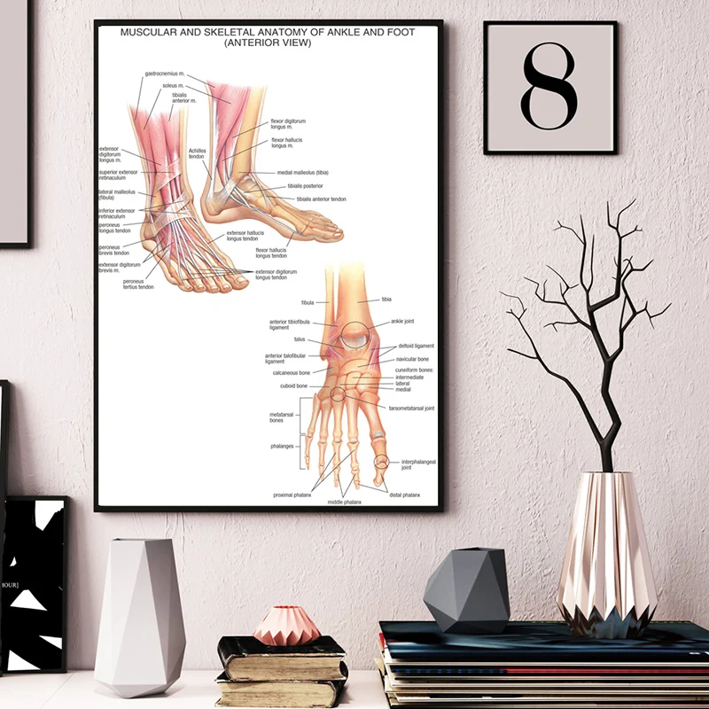 

Human Anatomy Of The Wrist And Foot Joints Art Canvas Poster Painting Oil Wall Picture Print Hospital Medical School Home Decor