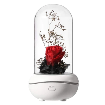 

LED Night Light Aroma Diffuser Eternal Rose Flower Design Essential Oil Aromatherapy Lamp 7 Colors