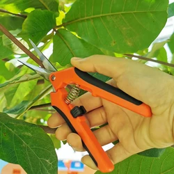 Aço inoxidável jardim tesouras de poda frutas colheita tesoura casa vasos guarnição ramos erva daninha pequena tesoura ferramenta jardinagem